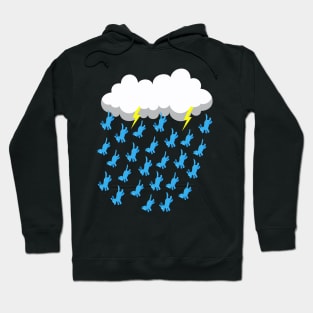 DARK RAIN CLOUD RAINING CATS AND DOGS Hoodie